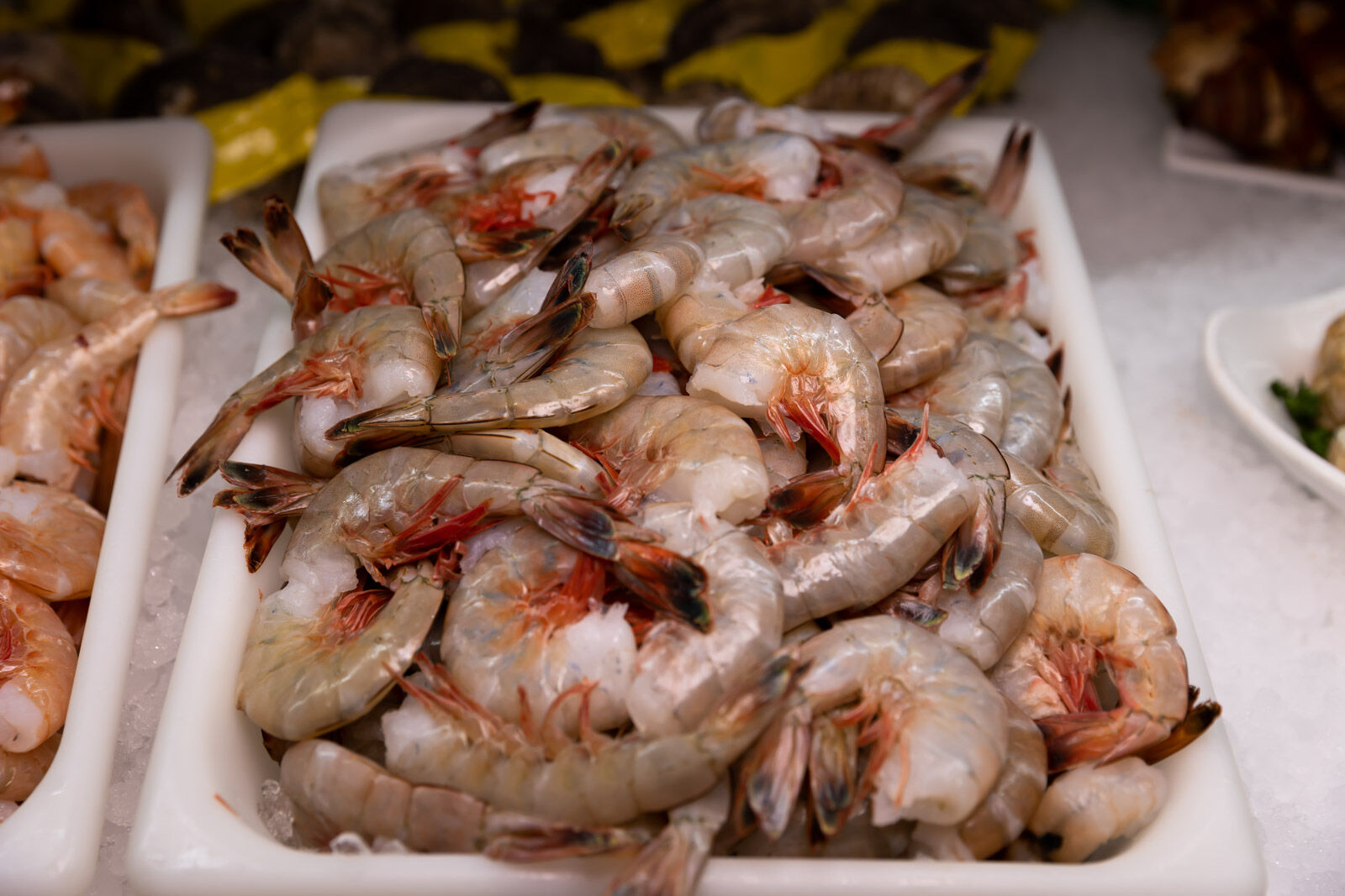 Coral Reef Seafood- Jumbo Shrimp.jpg